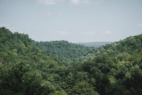 The lush views from the Rim Trail at Robert H. Treman State Park.
